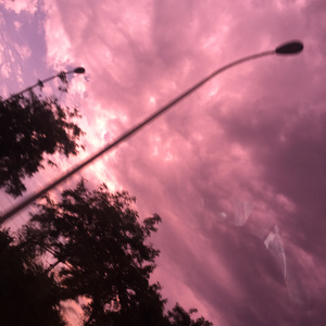 欧美性天天影院
