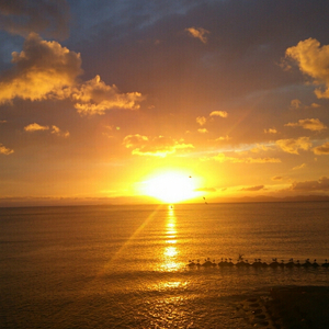 欧美性天天影院

